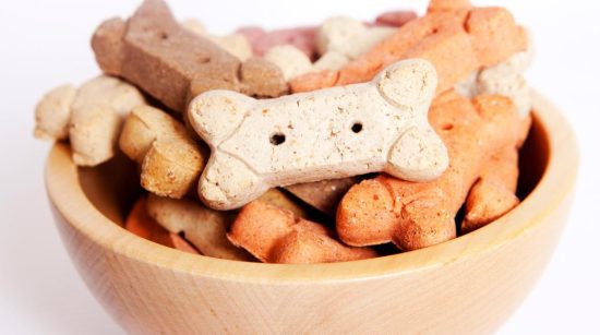 A Complete Guide to Choosing the Best and Healthy Dog Treats