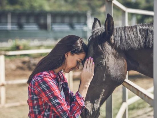 Care for Aging Horses