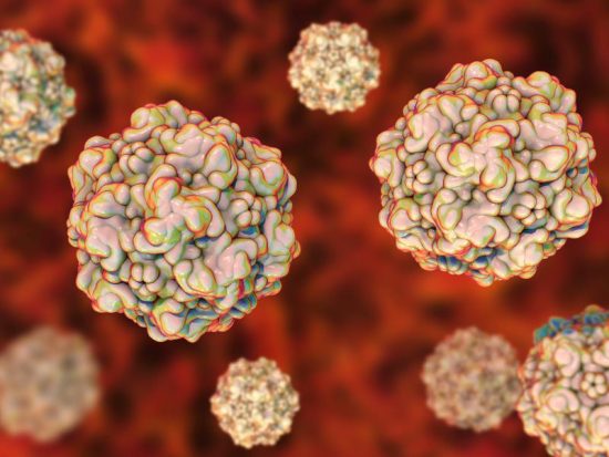 Infectious Diseases: Parvovirus and Similar Ailments