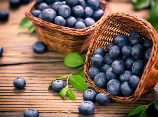 Understanding the Benefits of Blueberries for Dogs
