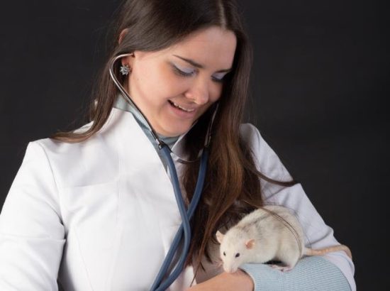 Veterinary Care and Checkups