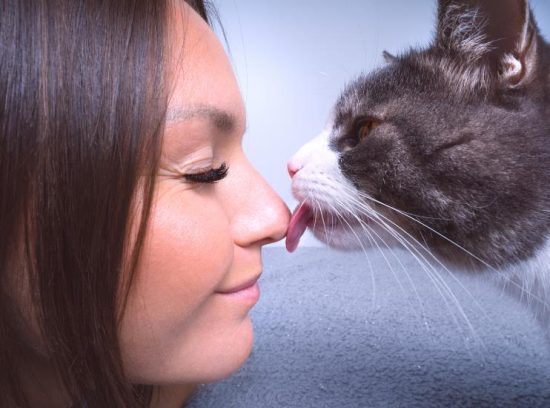 Why Do Cats Lick You: Affection and Social Bonds