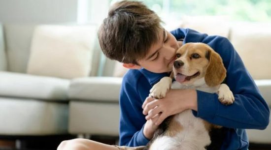 Why Everyone Prefers Pet-Friendly Home