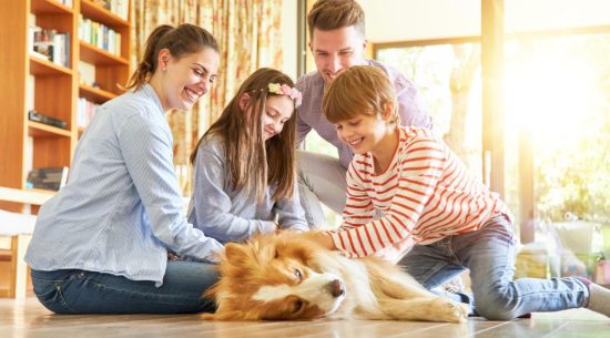 pets enrich family harmony