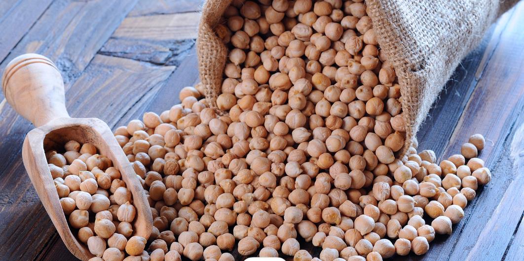 How to Safely Incorporate Chickpeas into Your Dog’s Meals