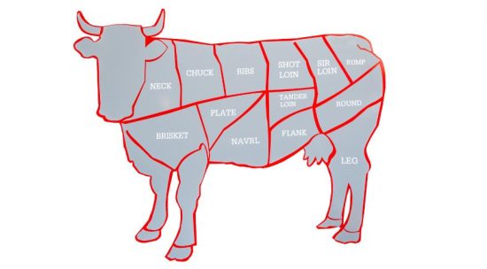 Understanding Brisket and Its Place on the Cow