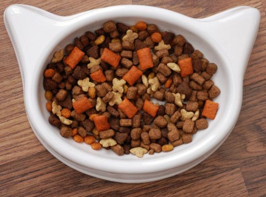 Why Soft Dry Cat Food Is the Perfect Choice for Aging Felines