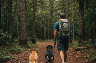 Hit the Trails A Beginners Guide to Hiking with Your Dog