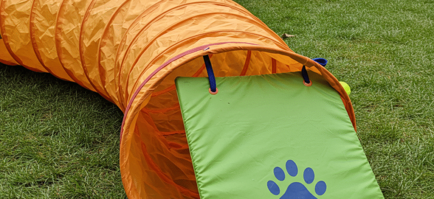DIY Pet Agility Tunnel Tutorial