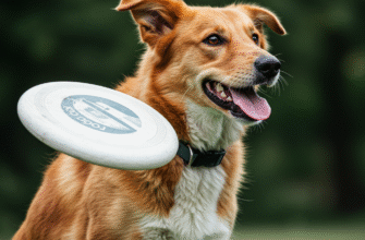 Disc Dog Dynamics Mastering the Art of Frisbee Catching