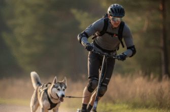 Introduction to Dog Scootering