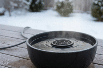 Keeping Outdoor Water Bowls from Freezing