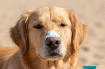 Sunburn Prevention for Pets
