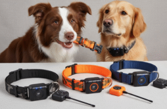 Best GPS Collars for Escape Artist Dogs Reviewed