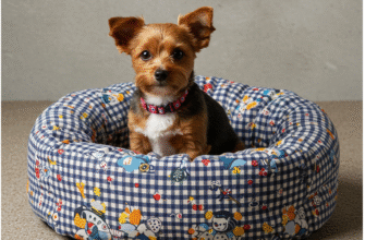 Patchwork Pet Bed Using Fabric Scraps Creatively
